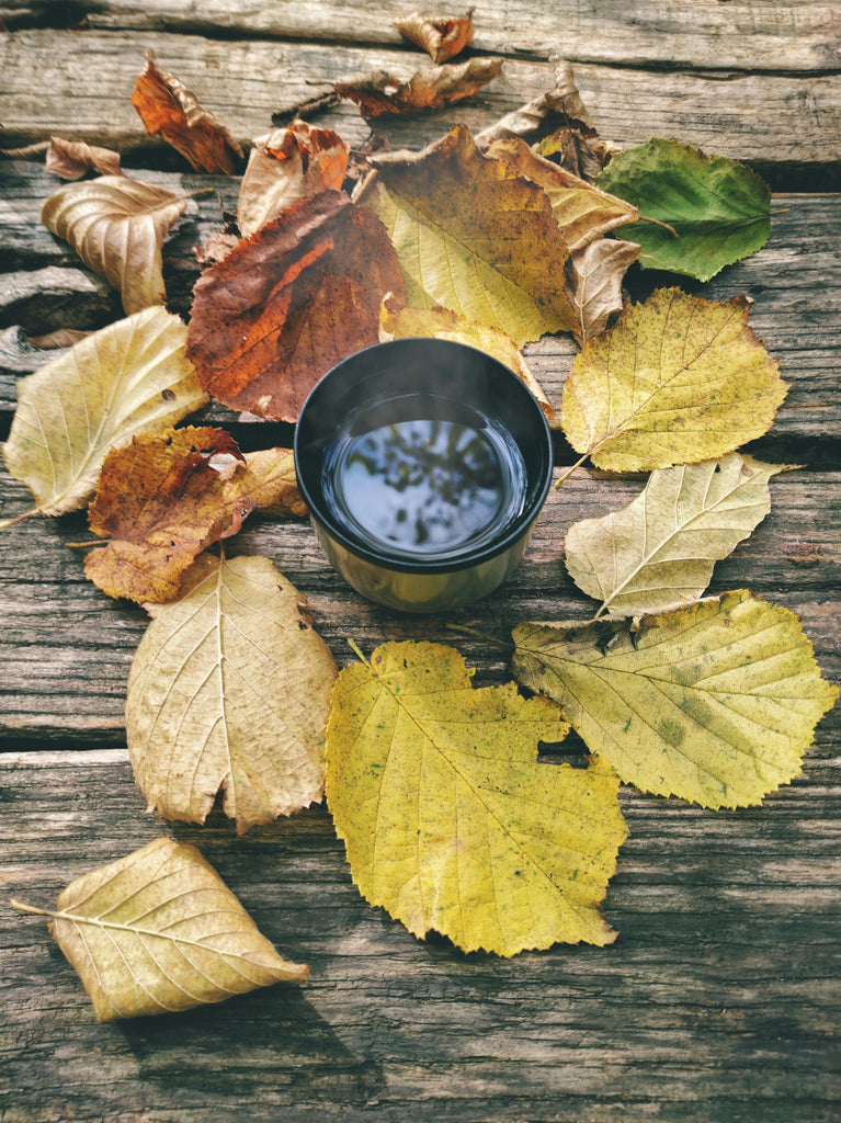 Slowing Down: Embracing the Art of Rest and Renewal