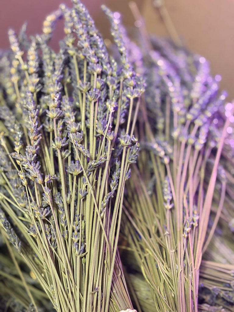 Lavender Love Note – The Ultimate Bliss Experience