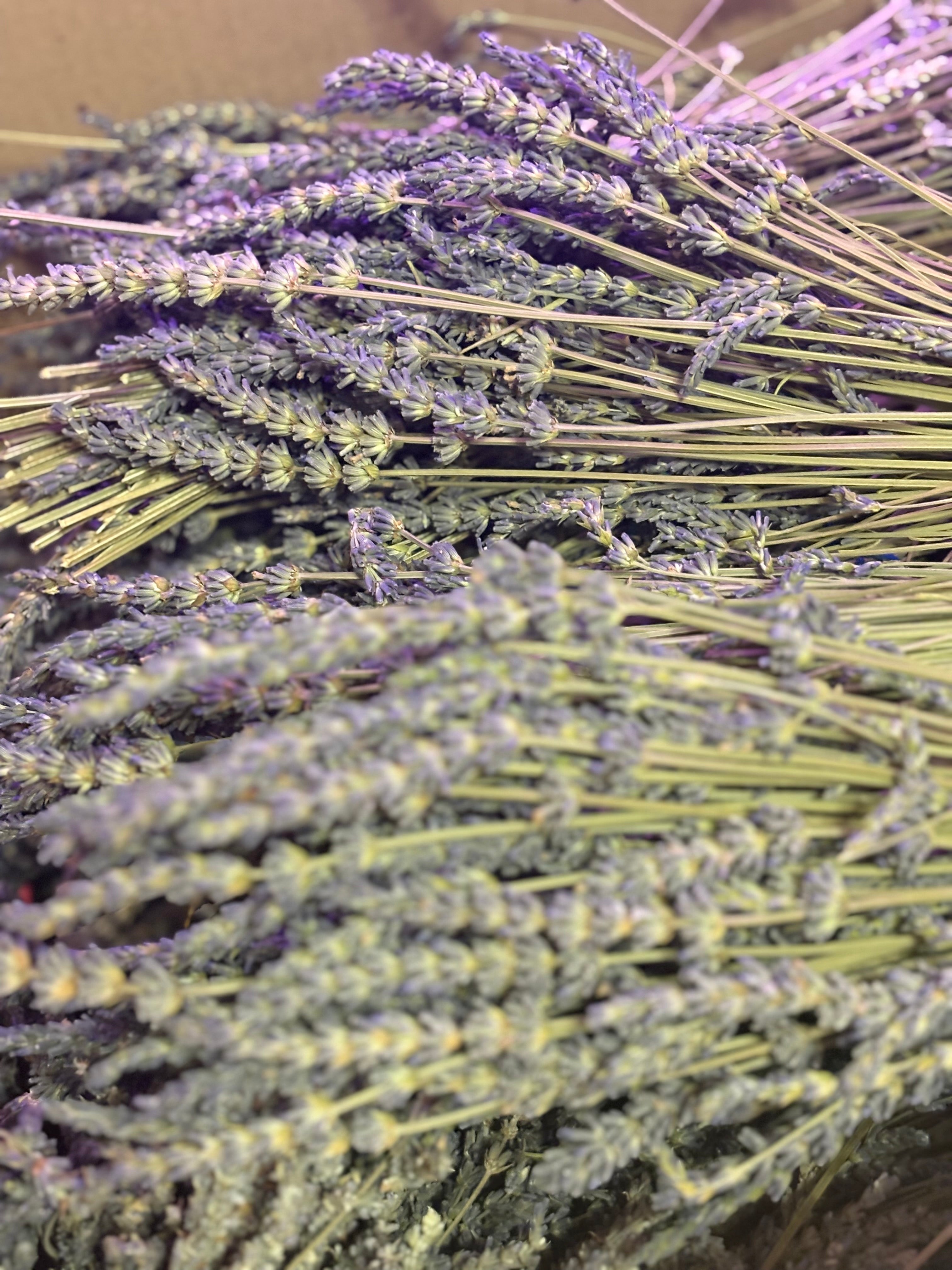 Lavender Love Note – The Ultimate Bliss Experience